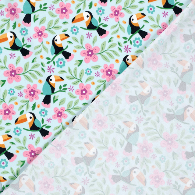Jersey Oiseaux Toucans