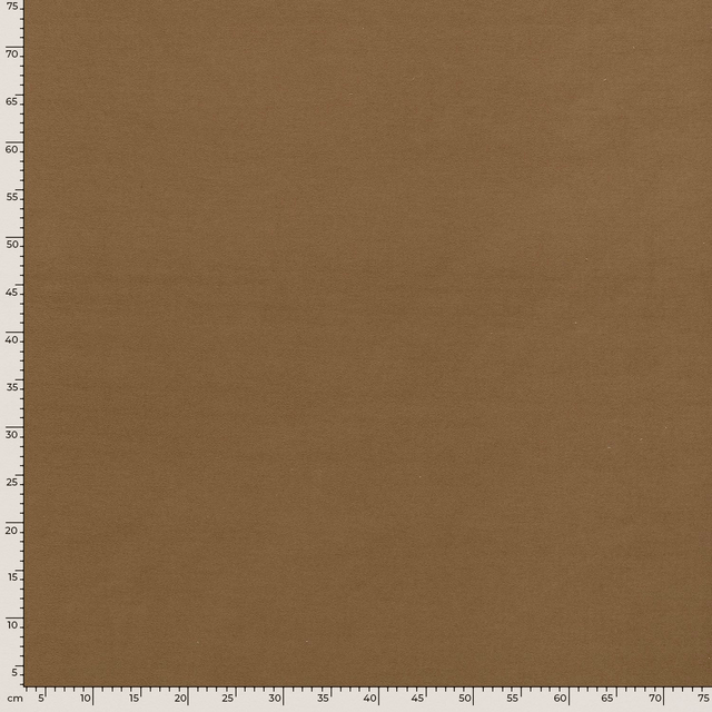 Tissu Brossé Camel