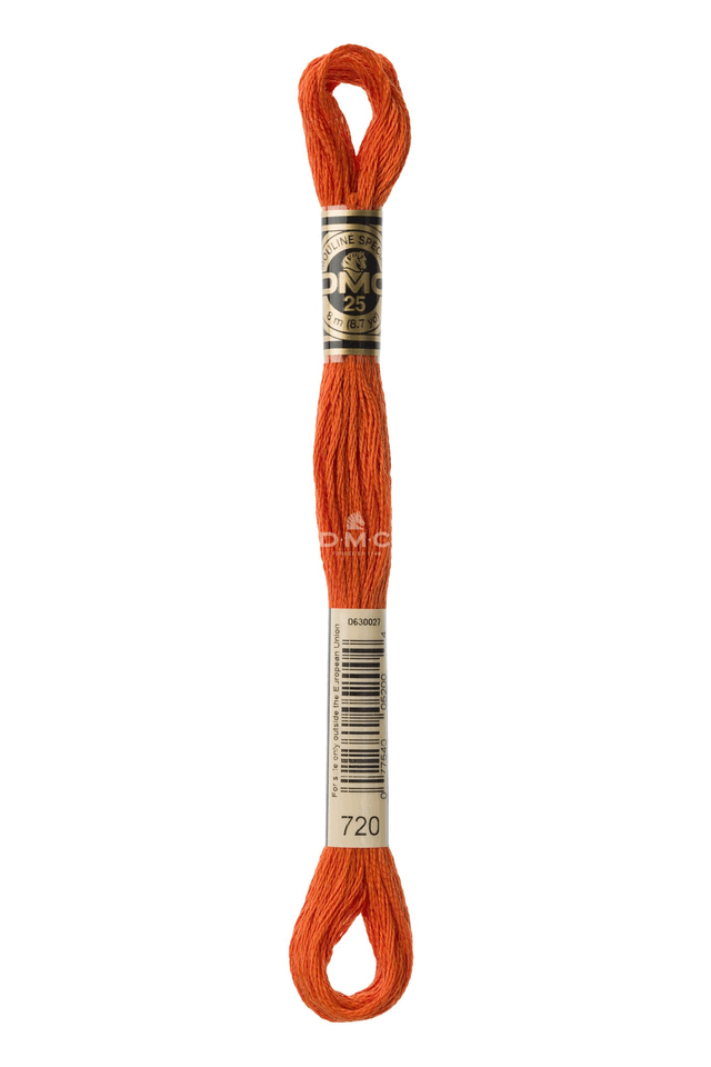 N°720 Mouliné Spécial DMC