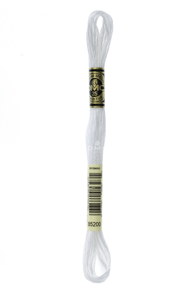 N°B5200 Mouliné Spécial DMC