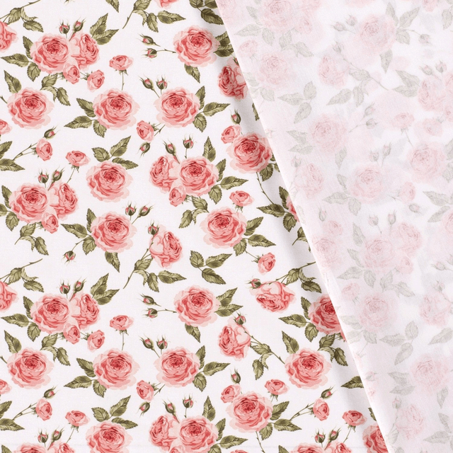 Popeline roses