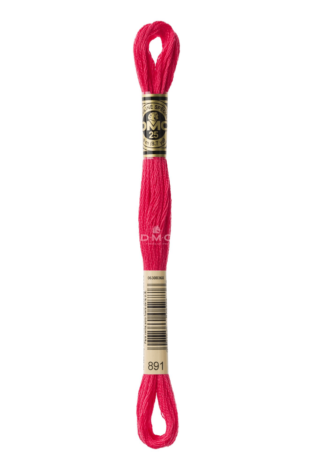 N°891 Mouliné Spécial DMC