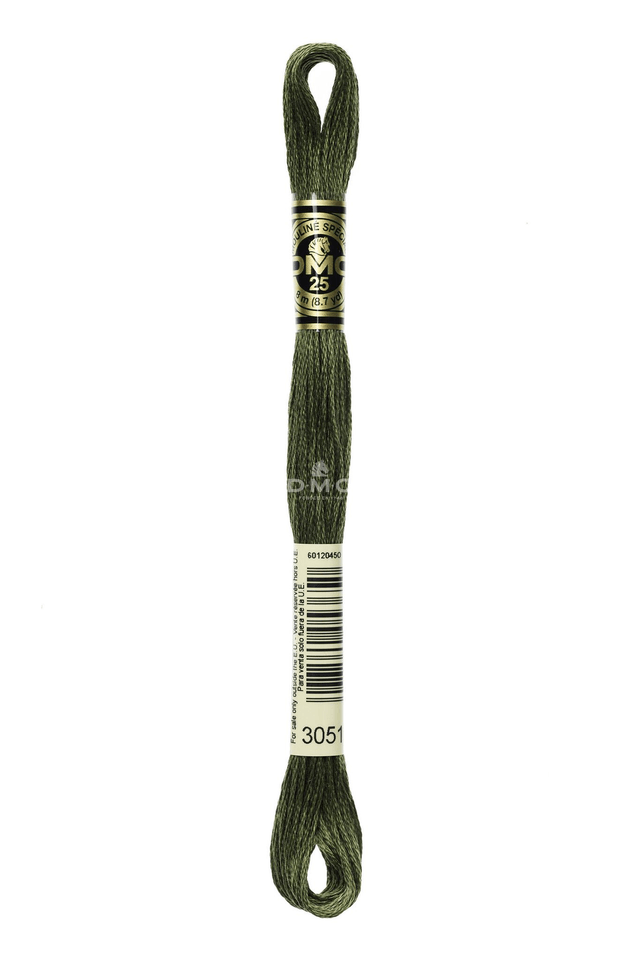N°3051 Mouliné Spécial DMC