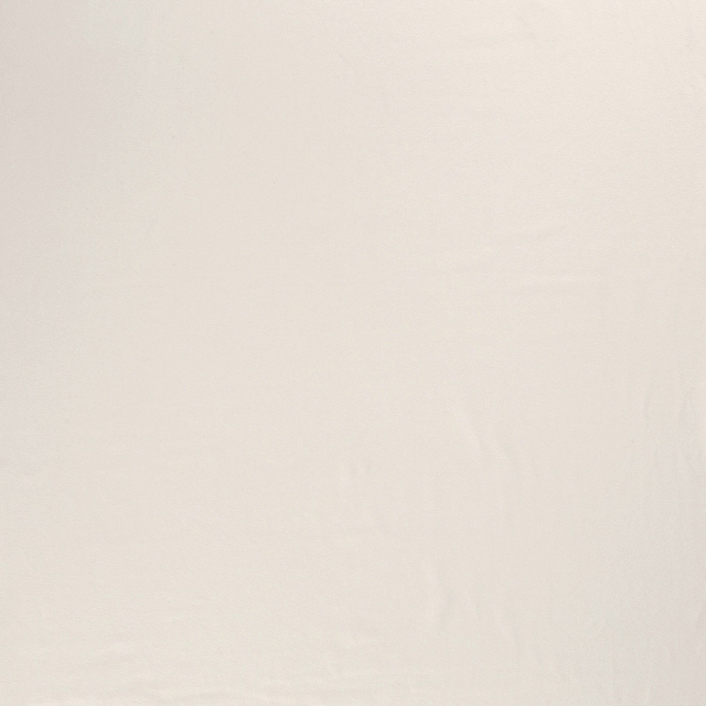 Jersey Uni Blanc