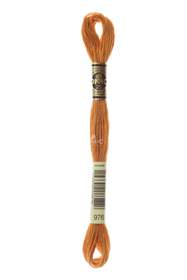 N°976 Mouliné Spécial DMC