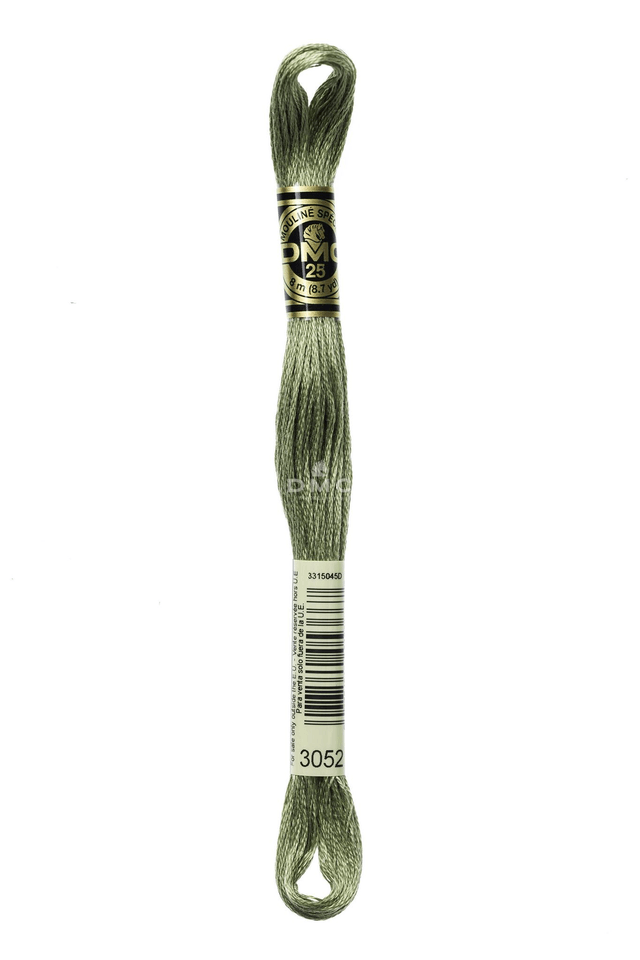 N°3052 Mouliné Spécial DMC