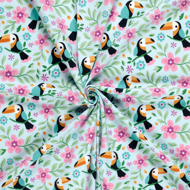 Jersey Oiseaux Toucans