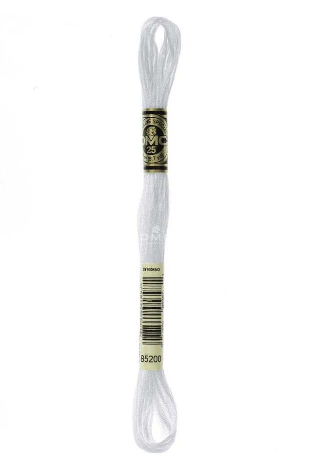 N°B5200 Mouliné Spécial DMC