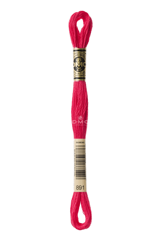 N°891 Mouliné Spécial DMC