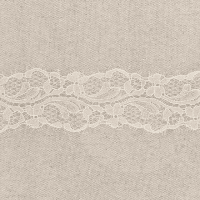 Dentelle Du Puy 6,5cm Blanc 