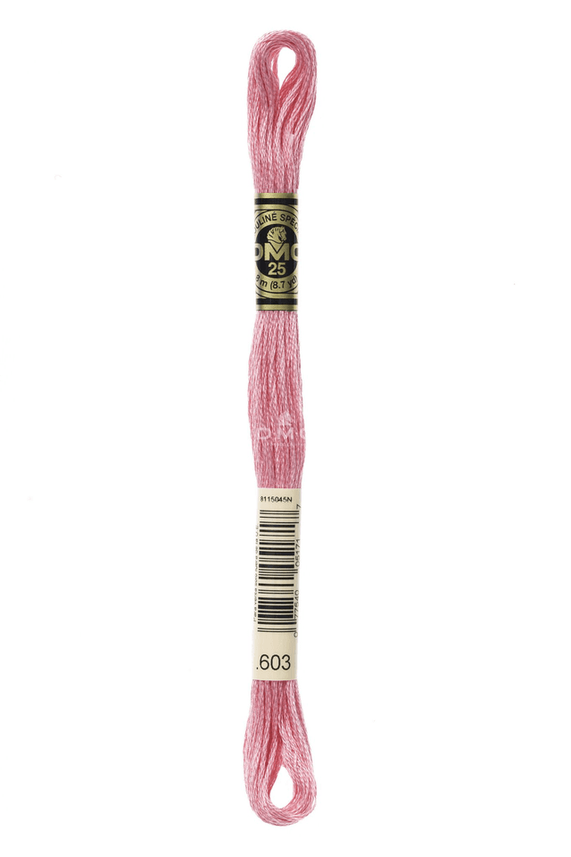N°603 Mouliné Spécial DMC