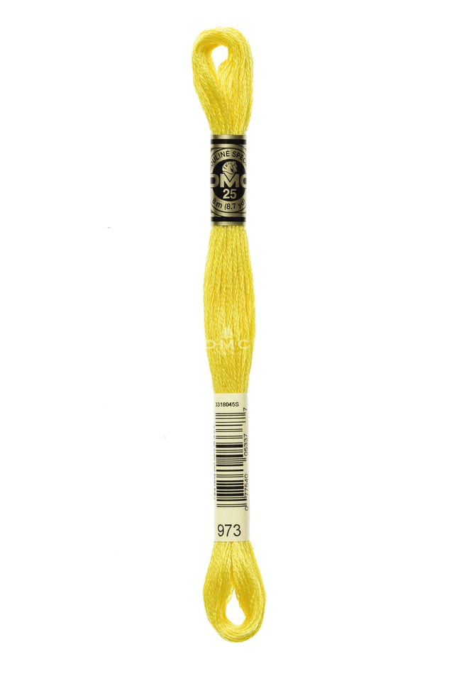 N°973 Mouliné Spécial DMC