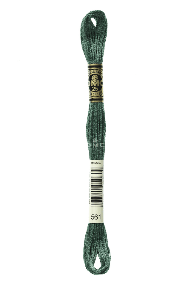 N°561 Mouliné Spécial DMC