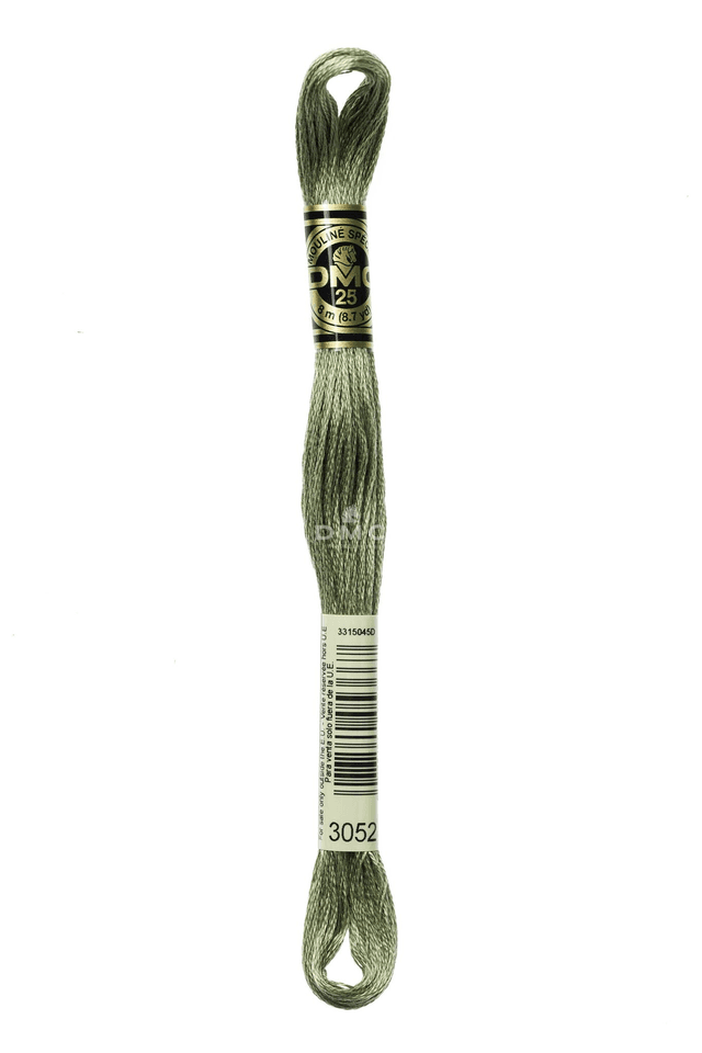 N°3052 Mouliné Spécial DMC