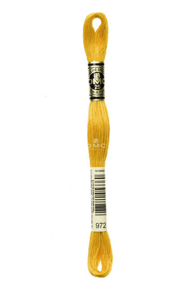 N°972 Mouliné Spécial DMC 